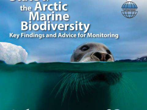 Forsíða State of the Arctic Marine Biodiversity