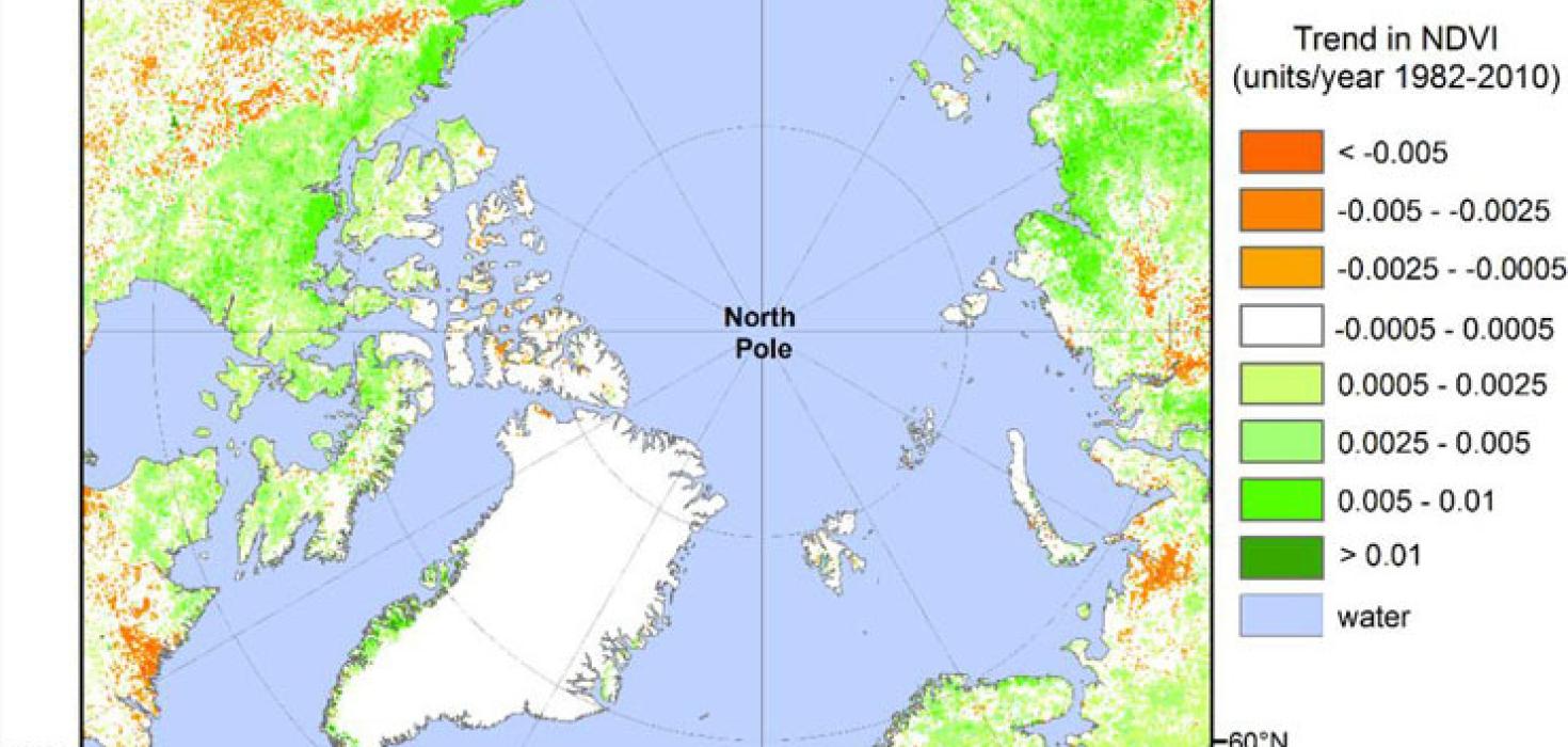 Leitni í árlegum, hámarks gróðurstuðli fyrir landsvæði á norðurslóðum 1982–2010