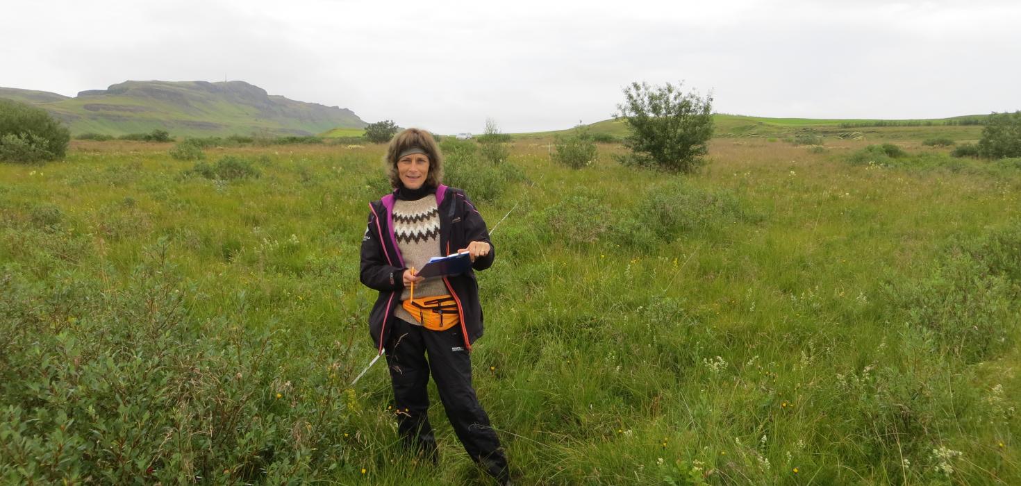 Sigþrúður Jónsdóttir, starfsmaður Landgræðslunnar, við úttekt á hagareit í Árnessýslu 2015