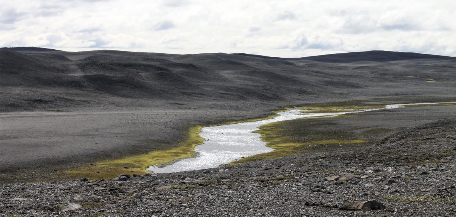 Gróður á hálendi Íslands