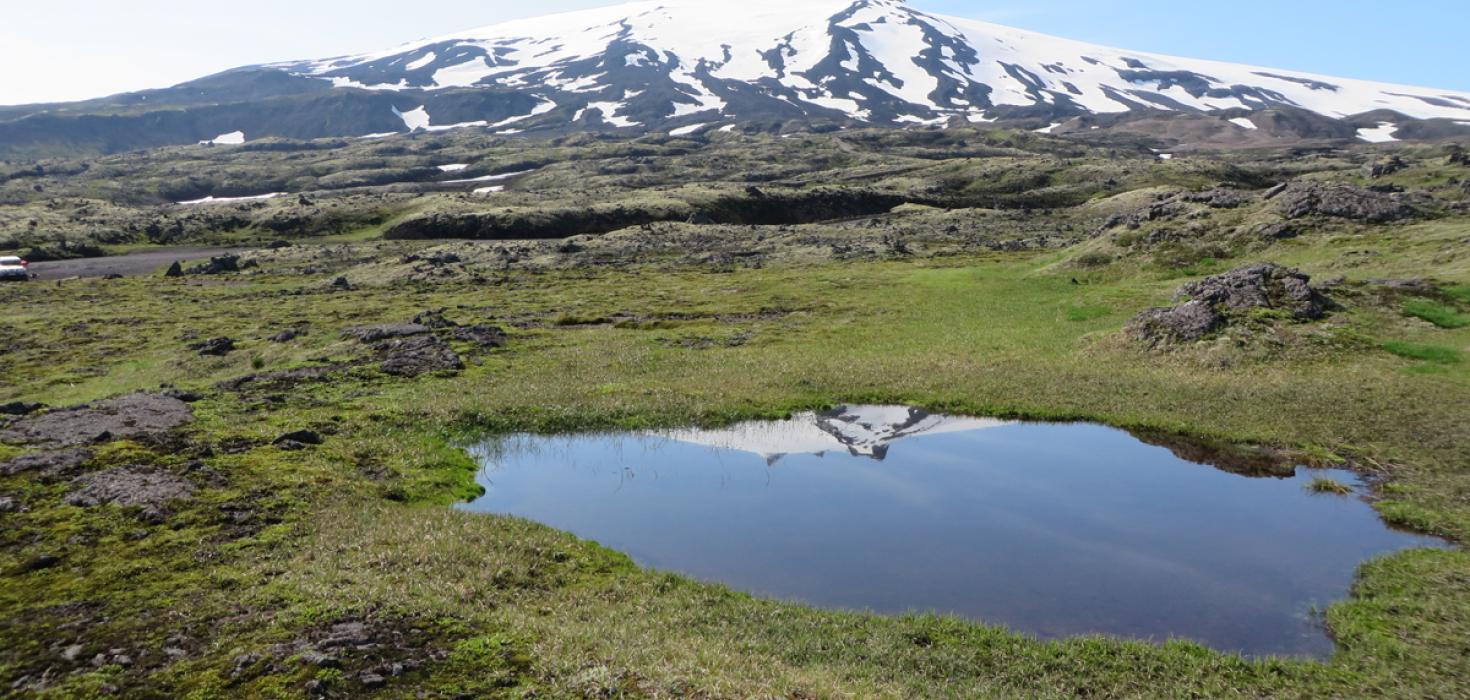 Snæfellsjökull, hraunbreiða, graslendi og stöðuvatn lýsa nokkrum vistgerðum á Íslandi