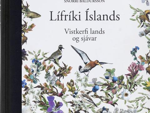 Kápa bókarinnar Lífríki Íslands: vistkerfi lands og sjávar