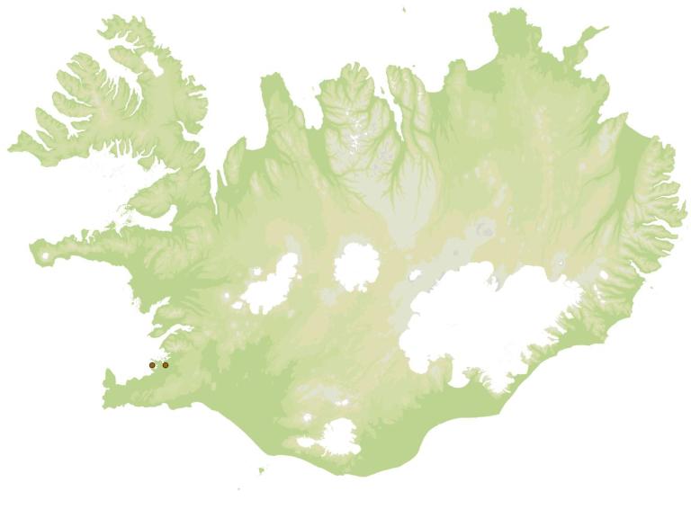Smáraskjanni (Colias croceus) - fundarstaðir samkvæmt eintökum í safni Náttúrufræðistofnunar Íslands