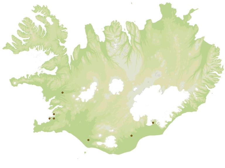 Dverglodda (Trichoniscus pusillus) - fundarstaðir samkvæmt eintökum í safni Náttúrufræðistofnunar Íslands