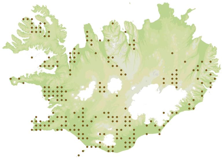 Langleggur (Mitopus morio) - fundarstaðir samkvæmt eintökum í safni Náttúrufræðistofnunar Íslands