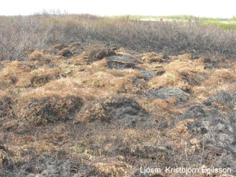 Brunasvæði í landi Jarðlangsstaða 2010